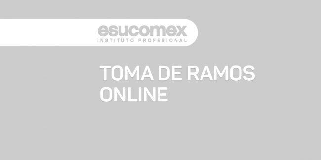 banner_entrada_toma_de_ramos